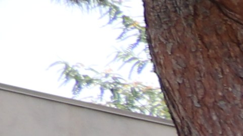 Se debe regar lo necesario y no dejar la manguera en el jardín con el grifo abierto por horas. / fotos: Jorge Luis Macías.