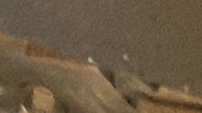 El agente del Sheriff Juan Cruz debajo de un auto mientras graba sobre un catalizador. / fotos: Jorge Luis Macías.