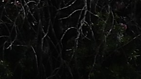 Las víctimas trabajaban en la venta de fruta en el condado de San Bernardin.  /foto: Getty.