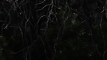Las víctimas trabajaban en la venta de fruta en el condado de San Bernardin.  /foto: Getty.