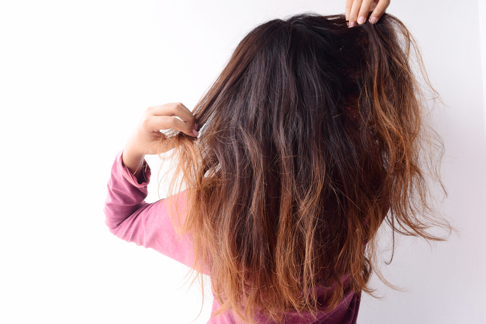 Los mejores aceites hidratantes para peinar el cabello áspero y grueso - La  Opinión