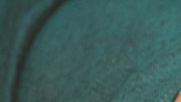 Significado de soñar con gusanos