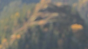 Foto de un auto Tesla siendo cargado en una estación de carga de la marca