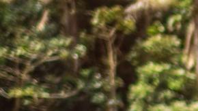 Venus y Marte en astrología es amor