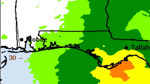 El gráfico muestra el potencial de lluvia de Fred sobre Florida.
