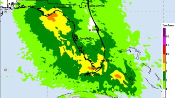 El gráfico muestra el potencial de lluvia de Fred sobre Florida.