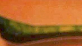 Galilea Montijo y Fernando Reina celebran su décimo aniversario de bodas entre invitados de lujo.