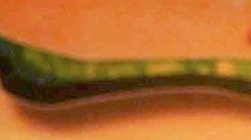 Galilea Montijo y Fernando Reina celebran su décimo aniversario de bodas entre invitados de lujo.