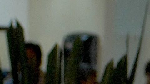Andrea Legarreta y Erik Rubín | Mezcalent.