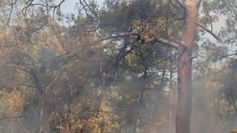 Incendios