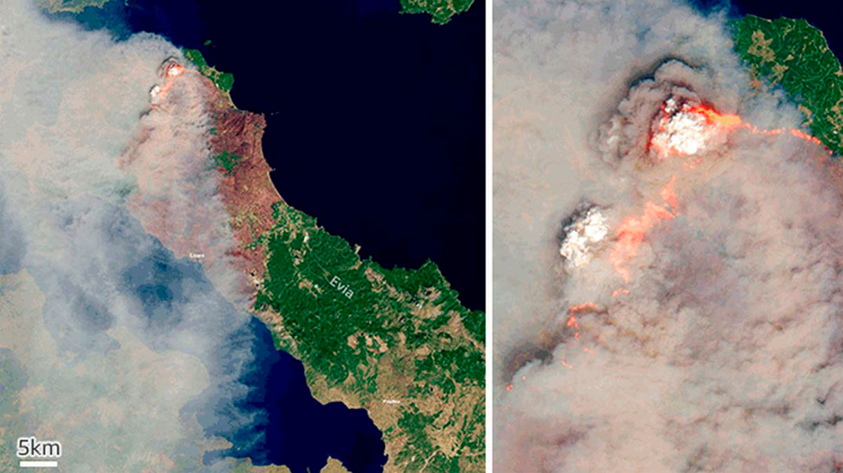 Los fuegos en Evia, Grecia, han sido una de las últimas señales del calentamiento global.