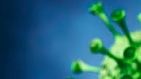 Variante Delta coronavirus