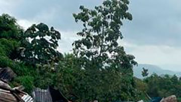 El camino hacia Marceline