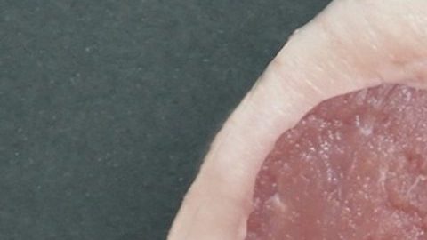 Asier Sanz ganó el Primer Premio de Caricatura Personal con el collage-caricatura de Donald Trump hecho con una chuleta.