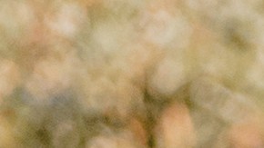 Óscar de la Hoya presumió su excelente forma física en el L.A. Live de Los Ángeles.