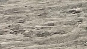 Documentos personales de migrantes tirados en la basura junto al muro fronterizo en Texas.