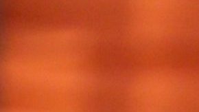 Paty Navidad | Mezcalent.