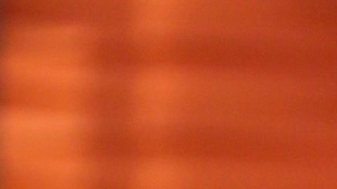 Paty Navidad | Mezcalent.