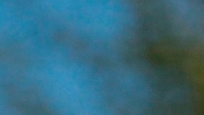 Angelino ejerciendo su voto para la revocación del actual gobierno de California. (EFE)