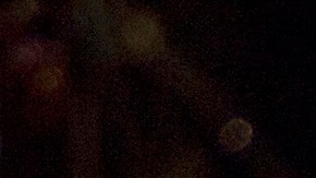 Vicente y Alejandro Fernández.