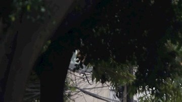 VIDEO: Explosión en edificio por acumulación de gas en la Ciudad de México deja decenas de lesionados