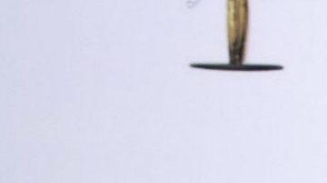 Marlene Favela y George Seely.