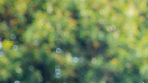 Este es el emotivo mensaje que Gabriel Soto dedicó a su hija Elisa Marie