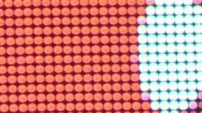 Nina Rubín | Mezcalent.