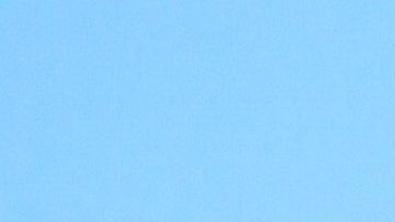 Marimar Vega | Mezcalent