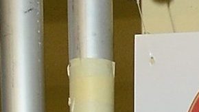 José Eduardo Derbez | Mezcalent.