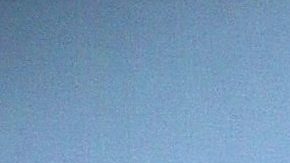 Lyn May | Mezcalent.