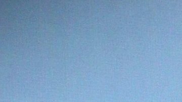 Lyn May | Mezcalent.