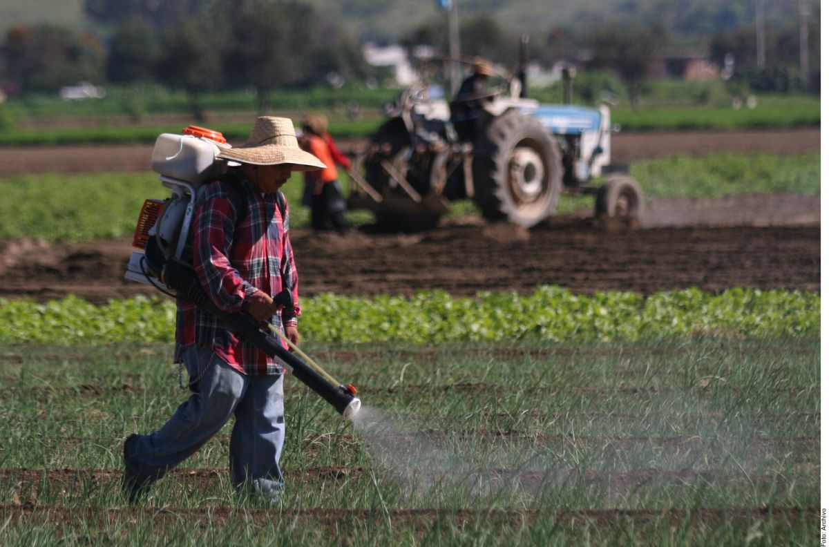 A municipality in Jalisco, symbol of the fight against agrochemicals