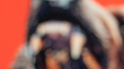 El candidato John Cox, de 66 años, en un evento en Sacramento. / foto: Anne Wernikoff - CalMatters.