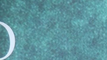 Camila Sodi presume su nueva cabellera azul posando con diminuto bikini tejido