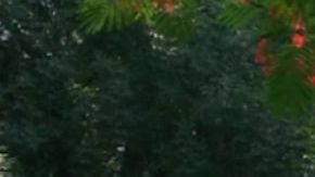 Rancho Los 3 Potrillos