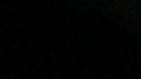 Estados Unidos en Tokio 2020