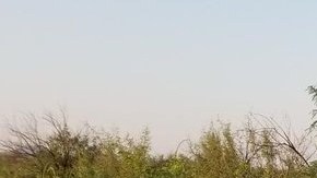 FOTO: Cae pollero que llevaba 10 migrantes en vehículo de la Patrulla Fronteriza clonado