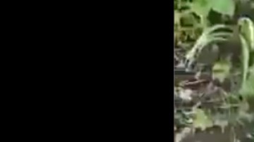 Fotos: Soldados mexicanos sufren accidente en carretera; mueren 2 y 18 quedan heridos