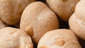 Garbanzos