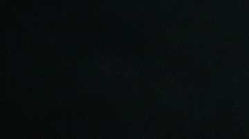 Gerardo Martino y Miles Robinson