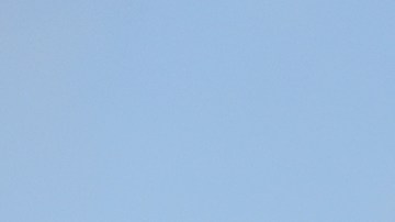 En Home Depot se agotan rápidamente los adornos de Halloween-GettyImages-1016772618.jpeg