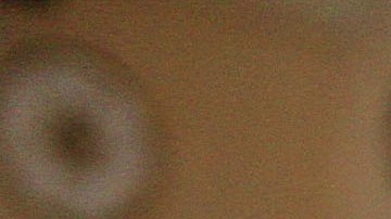 En Florida un comensal deja $10,000 dólares de propina para los trabajadores de un restaurante-GettyImages-101924078.jpeg