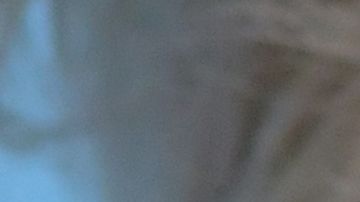 Zac Efron comparte pantalla con Jessica Alba