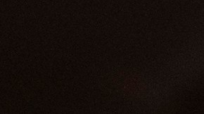 Julio César Chávez y Mike Tyson