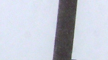 Fred puede causar inundaciones repentinas por sus fuertes lluvias.