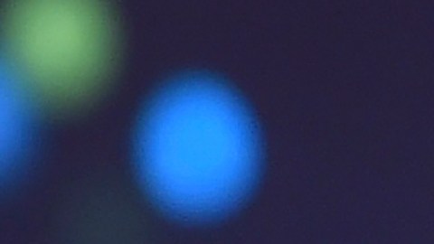 Bill Gates aportará fondos para el Plan de Infraestructura de Biden si es aprobado en la Cámara de Representantes.