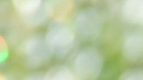 Antonio Banderas se ha convertido en el español más famoso de Hollywood