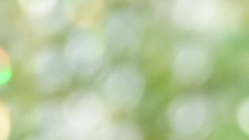 Antonio Banderas se ha convertido en el español más famoso de Hollywood