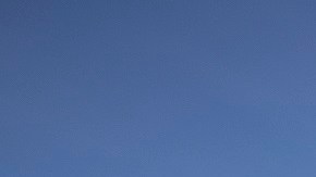 El 49% de los trabajadores agrícolas de EE.UU. son indocumentados.